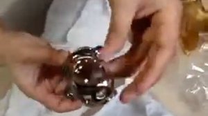 Сталь Муж целомудрия  устройства петух клетке