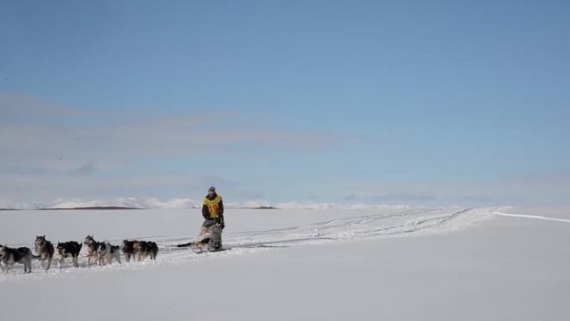 иваша ука смотреть онлайн