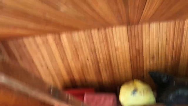 Дача снт яблонька с. Мусорка смотреть онлайн