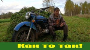 "Не деревенские удобства" - держу в курсе, адаптер для Беларуса (накосячили), про сено и технику!