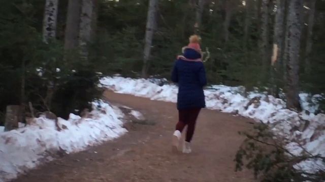 Зимний парк в Канаде. Украшение домов на Рождество в Канаде смотреть онлайн