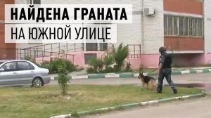 В Дрезне найдена граната