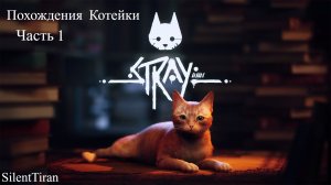 Stray Нелегкая жизнь котейки