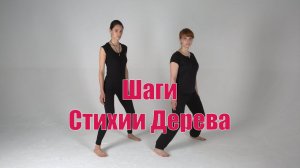 Шаги Стихий: Дерево. | Академия Киайдо | Гранд Мастер Сонг Парк