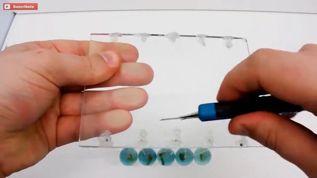 ТОП-10 НАУЧНЫХ ЭКСПЕРИМЕНТОВ, КОТОРЫЕ МОЖНО СДЕЛАТЬ У СЕБЯ ДОМА