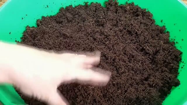 Грунт для выращивания рассады. Какой выбрать? Как я проводила испытания магазинного грунта.