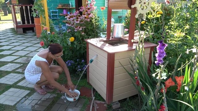 6 соток  19 августа 2022 года.  Хроника. Преображение. Life in the garden.  holiday смотреть онлайн