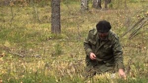 Травовед. Плаун. Рассказывает Моряков Сергей Викторович