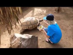 Я так хочу, чтобы лето не кончалось