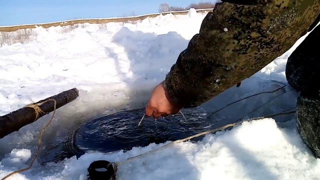 Налим на перемет. Рыбалка на Чумыше. Алтайский край. смотреть онлайн