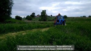Косим корм телятам. Трактор мтз 80, косилка-измельчитель КИР-1.5 и прицеп 1 ПТС-2.