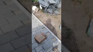 Колун для тротуарной плитки!