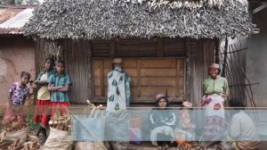 7 интересных фактов о Мадагаскаре