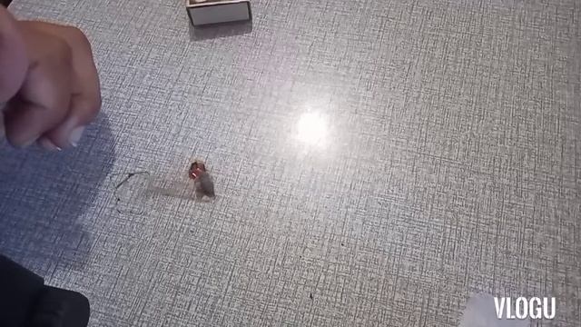 Paano malalaman Kung Ang damit ay gawa sa plastic? смотреть онлайн