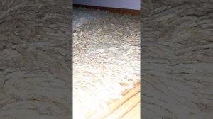 Samsung sms 5100 subwoofer bass test i fre air test