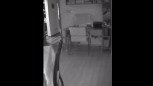 Кот упал со стула ночью