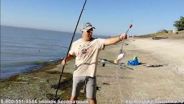 Отзыв о кормушке ловушке FindFish.Купить, отзывы, цена. Китайская сетка с кормушкой купить в России