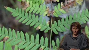 Как работает амулет Жернова Гротти