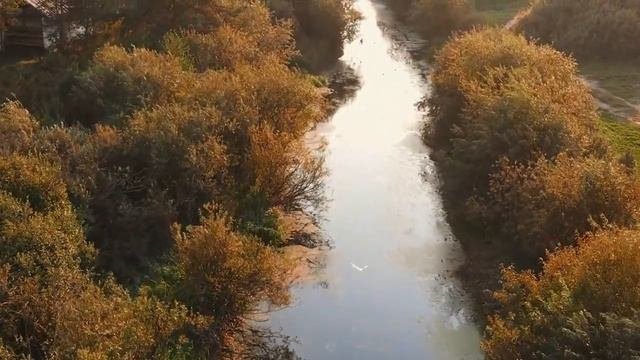 🧠💡Сфокусируйся На Главном. Арсен Маркарян