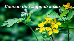 Чистотел. Маски, лосьон, сок. Применение чистотела в саду.