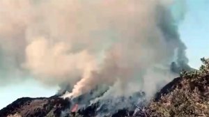 В Анапе из-за природных пожаров эвакуируют туристов