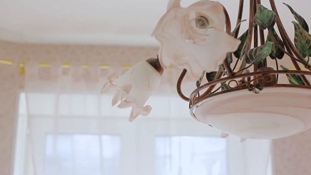 СНТ Березка смотреть онлайн