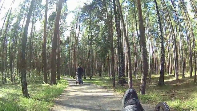 Серебряный Бор