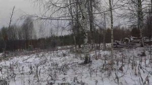 Заброшенная деревня Рубеж Костромской области.