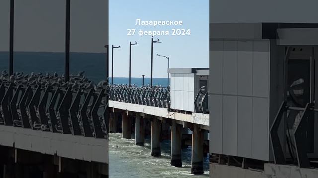 #лазаревское #сегодня #погода #пляж #море #сочи 27 февраля #2024