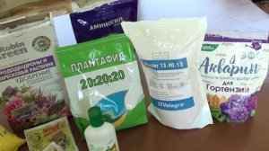 Безупречная схема подкормок для гортензий,что бы они прекрасно развивались и цвели.