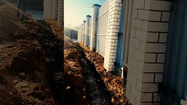 ПОСАДКА ЖИВОЙ ИЗГОРОДИ #туя #кустарник #кизильник смотреть онлайн