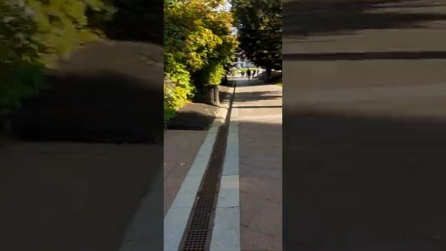 Замок Екатерины II смотреть онлайн