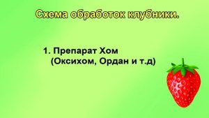 Обязательно обработайте клубнику до цветения от болезней и вредителей.