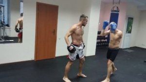 Удары на лапах