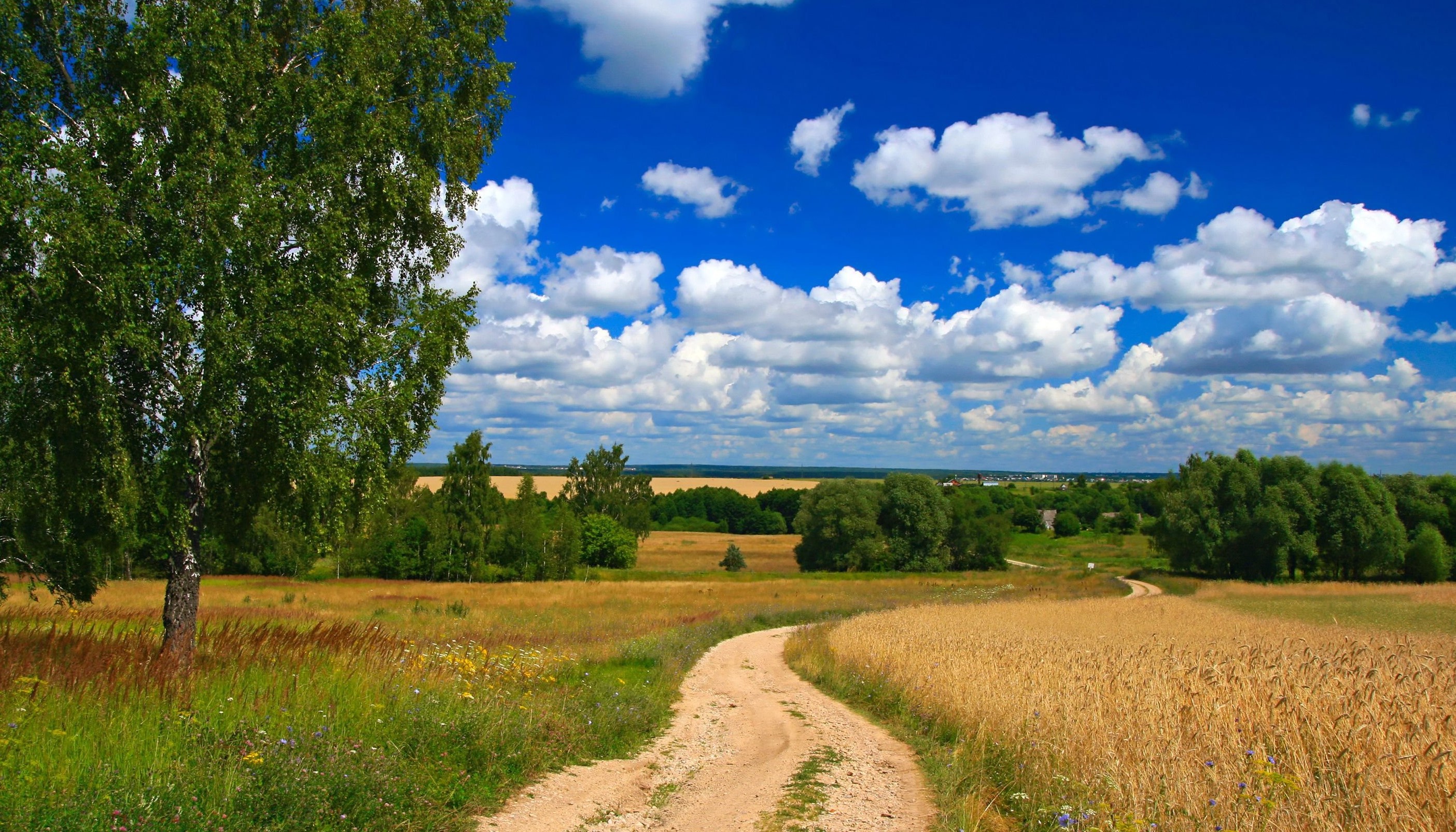 Песня мой родимый край место. Фото родного края. Баннер на день села.