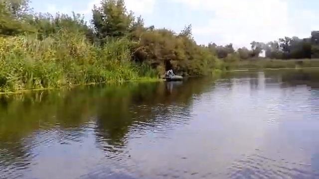Низовье реки Воронеж.