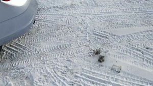 Шевроле Кобальт. Установил стильные колпаки на 15