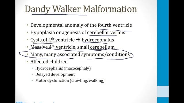 Неврология USMLE - 2. Структуры НС - 11.Желудочки и синусы