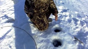 Ловля налима на реке Ишим!!!