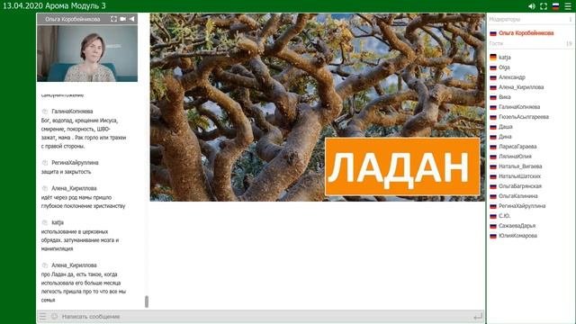 Эфирное масло ладана | Свойства масла ладана, зачем применять? | Курс аромапсихологии