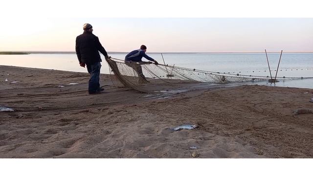 Рыбалка неводом,500 кг рыбы. смотреть онлайн