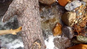 Одиночный пеший поход по Алтаю. Маршрут №77.