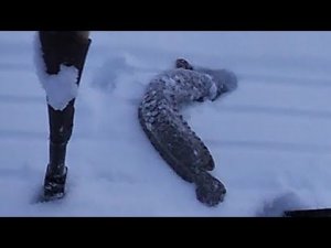 ПРОВЕРКА ПАЛОК НА НАЛИМА \ 03. 03. 2019