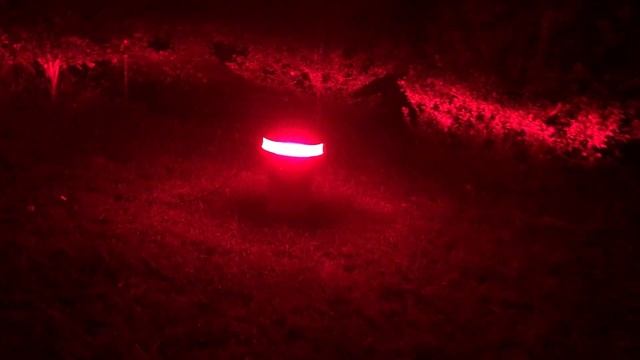 Flash Technology Vanguard LED Tower Beacon Night Time Fun смотреть онлайн