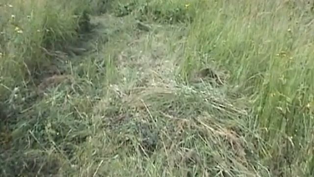 Испытание косилки к мотоблоку  Салют смотреть онлайн