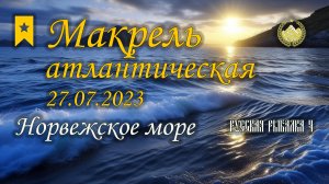 ✮ Норвежское море ✮ Макрель атлантическая ✮ 23-07-2023 ✮