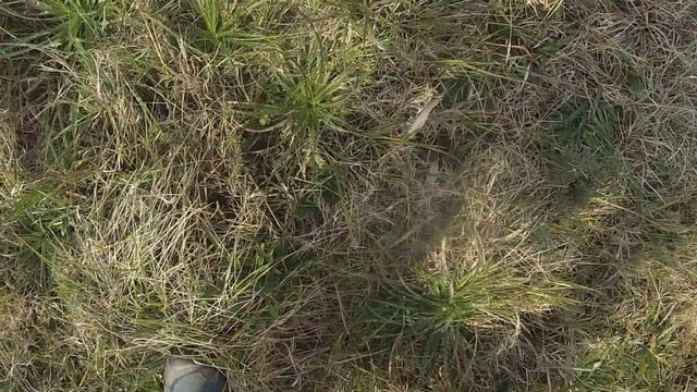 Aventura de los Parques de El Cantero - Etapa 4 - Parque Salus 1/5 смотреть онлайн