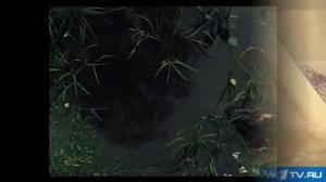 Диверсия под названием Останки. Царские останки существуют.mp4