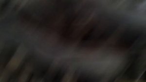 Ошибка P0622 Ford Focus 2