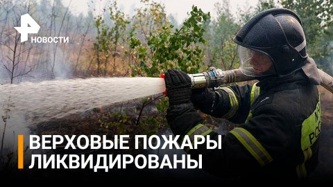 В МЧС заявили о ликвидации верховых пожаров в Рязанской области / РЕН Новости